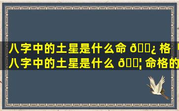 八字中的土星是什么命 🌿 格「八字中的土星是什么 🐦 命格的人」